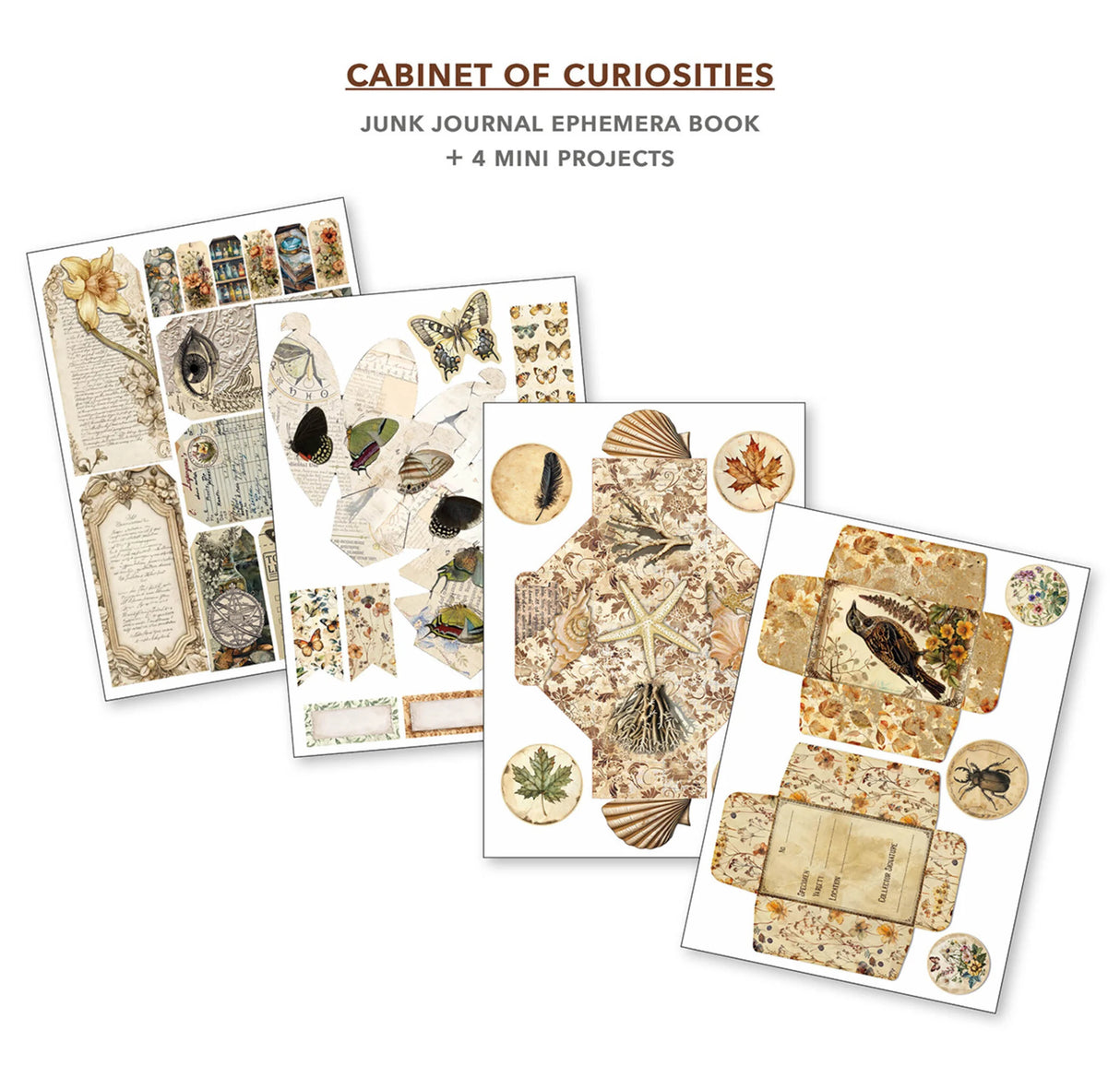 Ciao Bella Cabinet of Curiosities A4 Junk Journal Ephemera Book (32pcs) (CBB002)