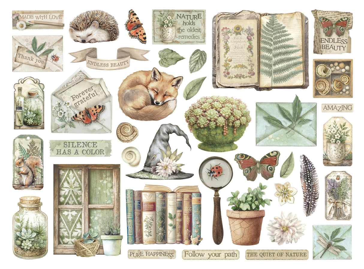 Stamperia Herbarium Silvae Die Cuts Assorted (40pcs) (DFLDC123)