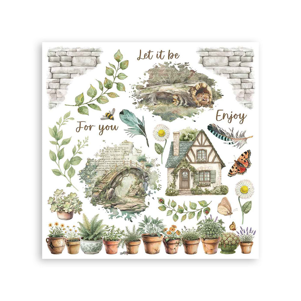 Stamperia Herbarium Silvae Rub-On Assortment 6pcs (DFLRBX02)