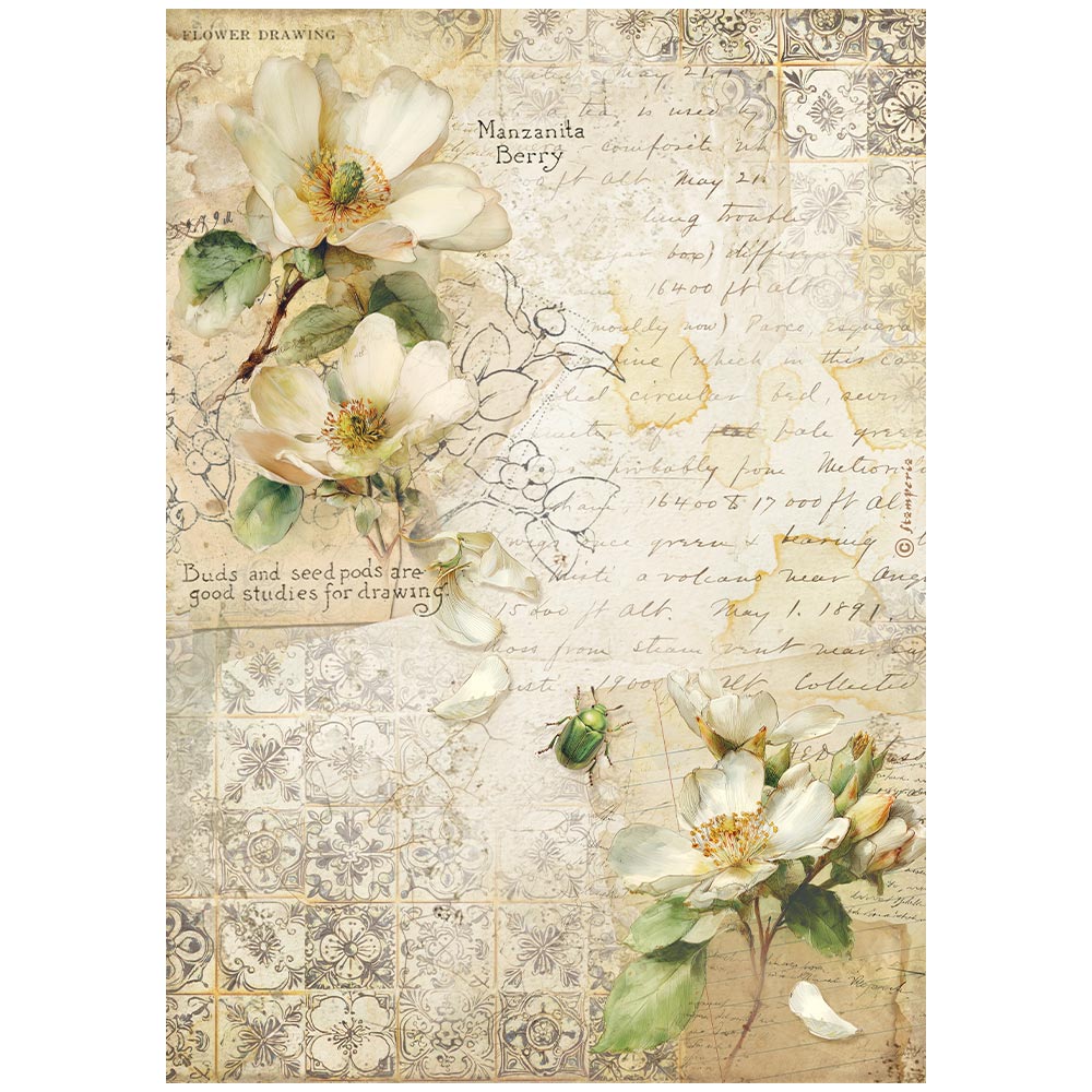 Stamperia All Around A4 Rice Paper Selection (6pcs) (DFSA4XAR)