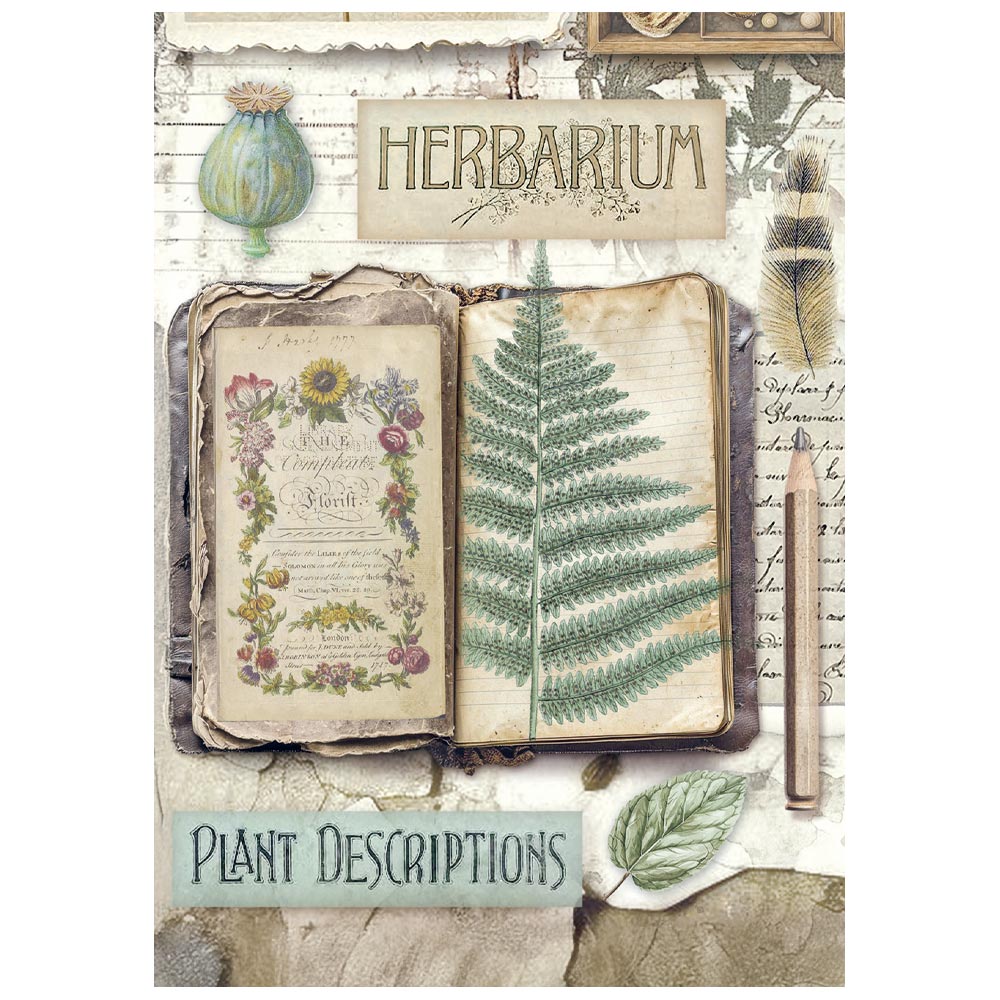 Stamperia Herbarium Silvae A6 Mini Rice Paper (DFSA6X02)