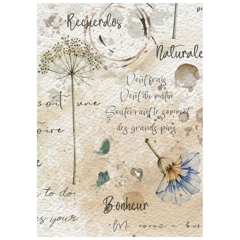 Stamperia Flowers and Poems A6 Mini Rice Paper Selection (8pcs) - DFSA6X13