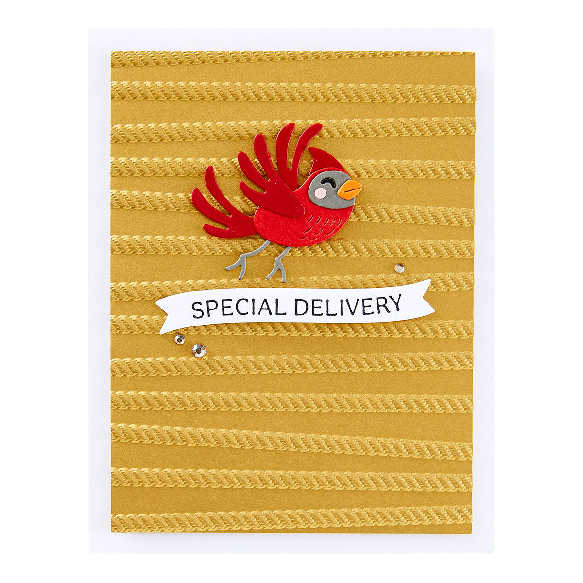 Spellbinders All Wrapped Up 3D Embossing Folder from the Dancin' Christmas Friends Collection