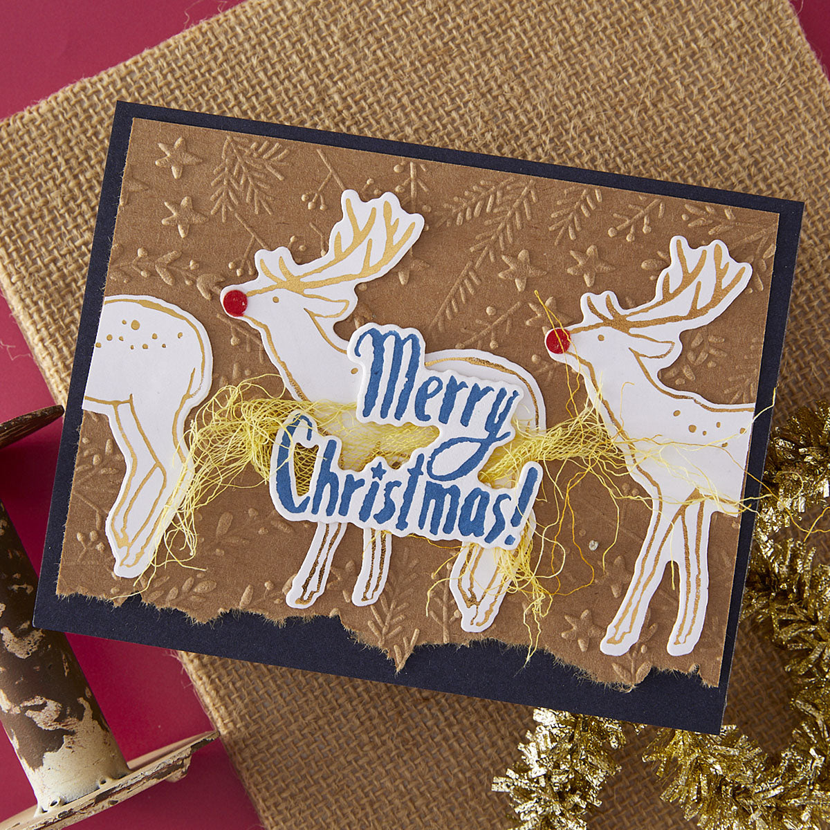 Spellbinders Stars and Fronds Frame 3D Embossing Folder from the Starry Holiday Collection by Dina Wakley