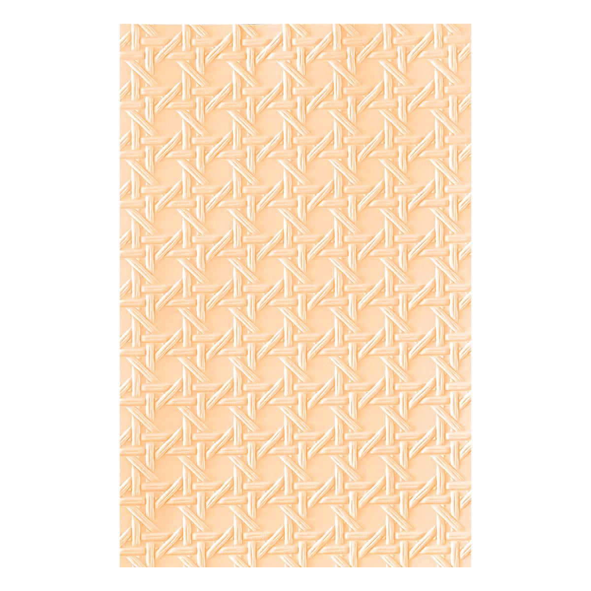 Spellbinders Rattan Cane 3D Embossing Folder by Simon Hurley E3D-178
