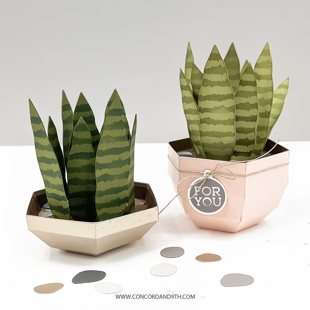 Concord & 9th Fall Favors Box Dies