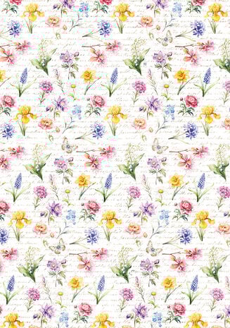 Ciao Bella Flower Shop A4 Vellum Paper Patterns (6pcs) (CBV016)