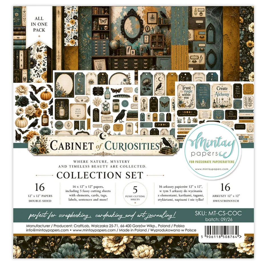 Mintay Cabinet of Curiosities 12x12 Inch Collection Set (16pcs)