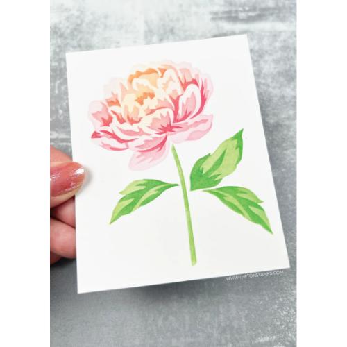 The Ton Stamps Peony Stem Layering Stencils
