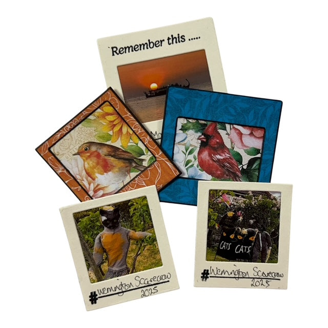 Cool Katz Cutz Pocket Book Filler