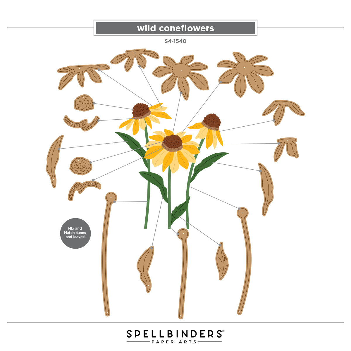 Spellbinders Wild Coneflowers Etched Dies by Simon Hurley