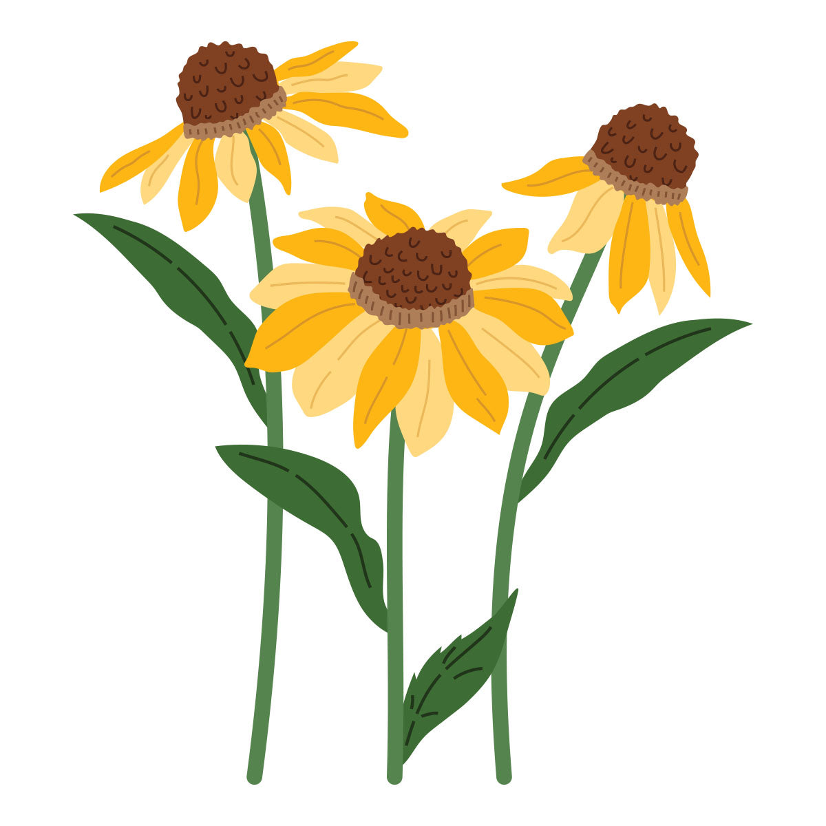 Spellbinders Wild Coneflowers Etched Dies by Simon Hurley