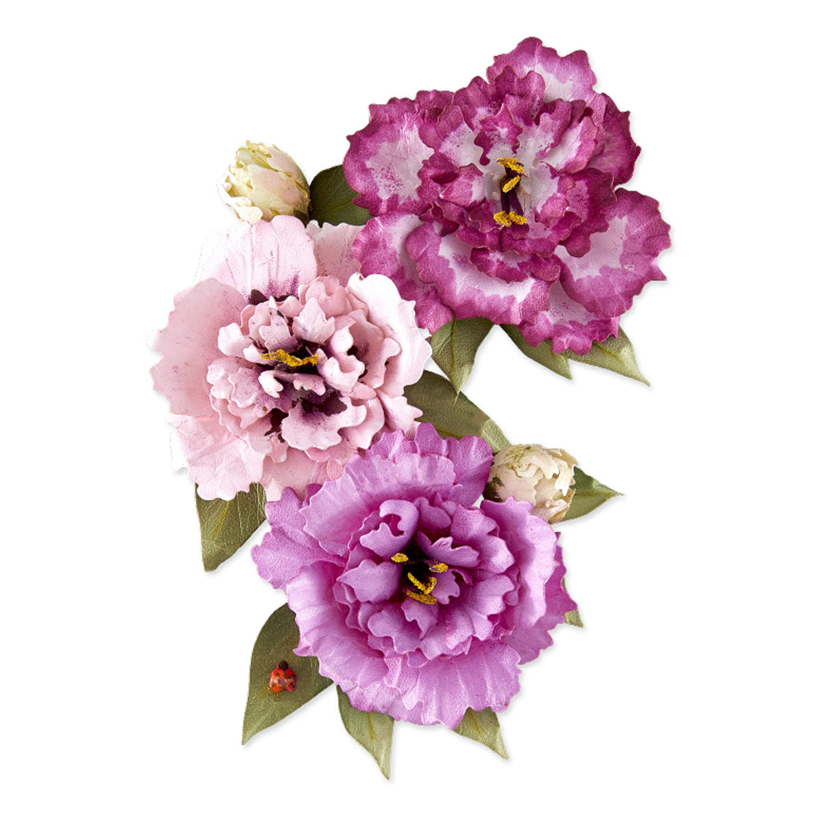 Spellbinders Lisianthus Etched Dies by Susan Tierney-Cockburn s4-1572