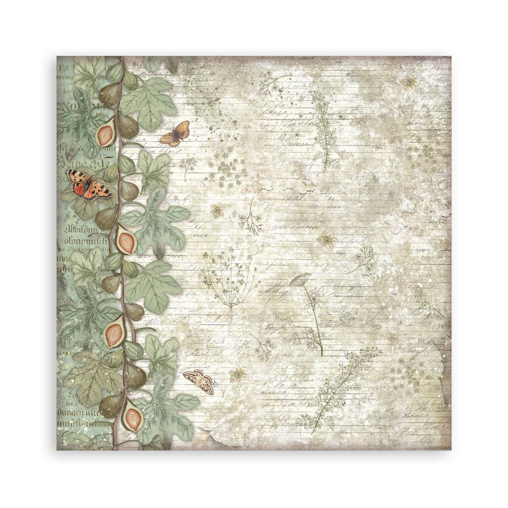 Stamperia Herbarium Silvae 8×8 Maxi Paper Pack Single Face (SBBSXB20)