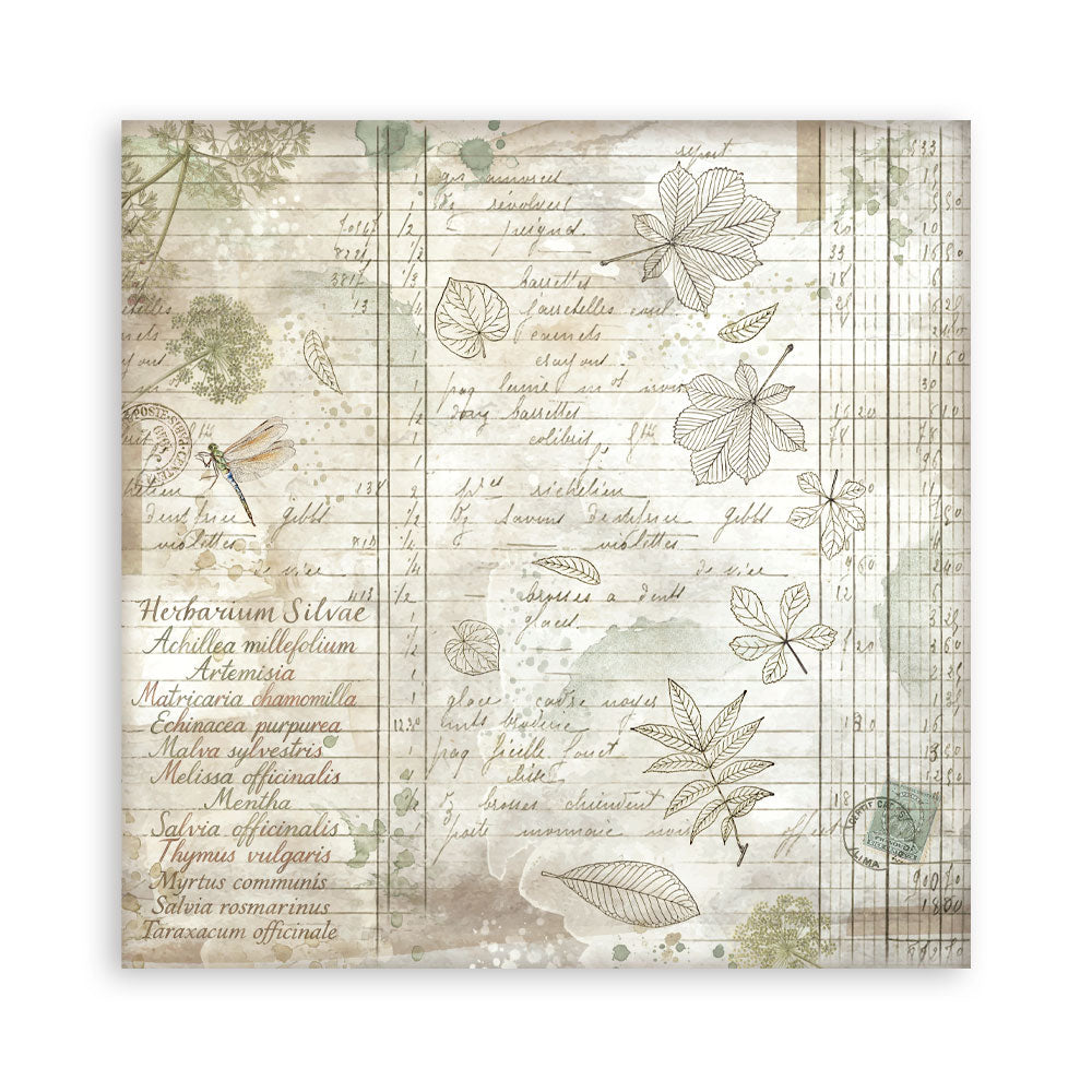 Stamperia Herbarium Silvae 8×8 Maxi Paper Pack Single Face (SBBSXB20)
