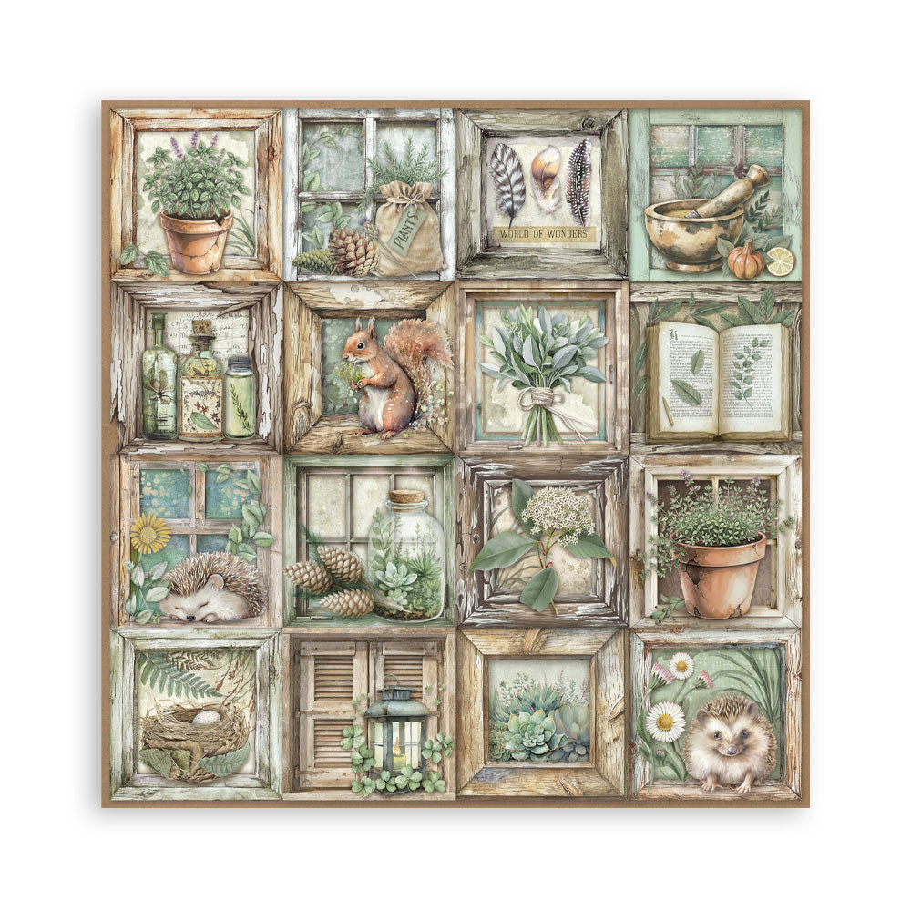 Stamperia Herbarium Silvae 8×8 Maxi Paper Pack Single Face (SBBSXB20)