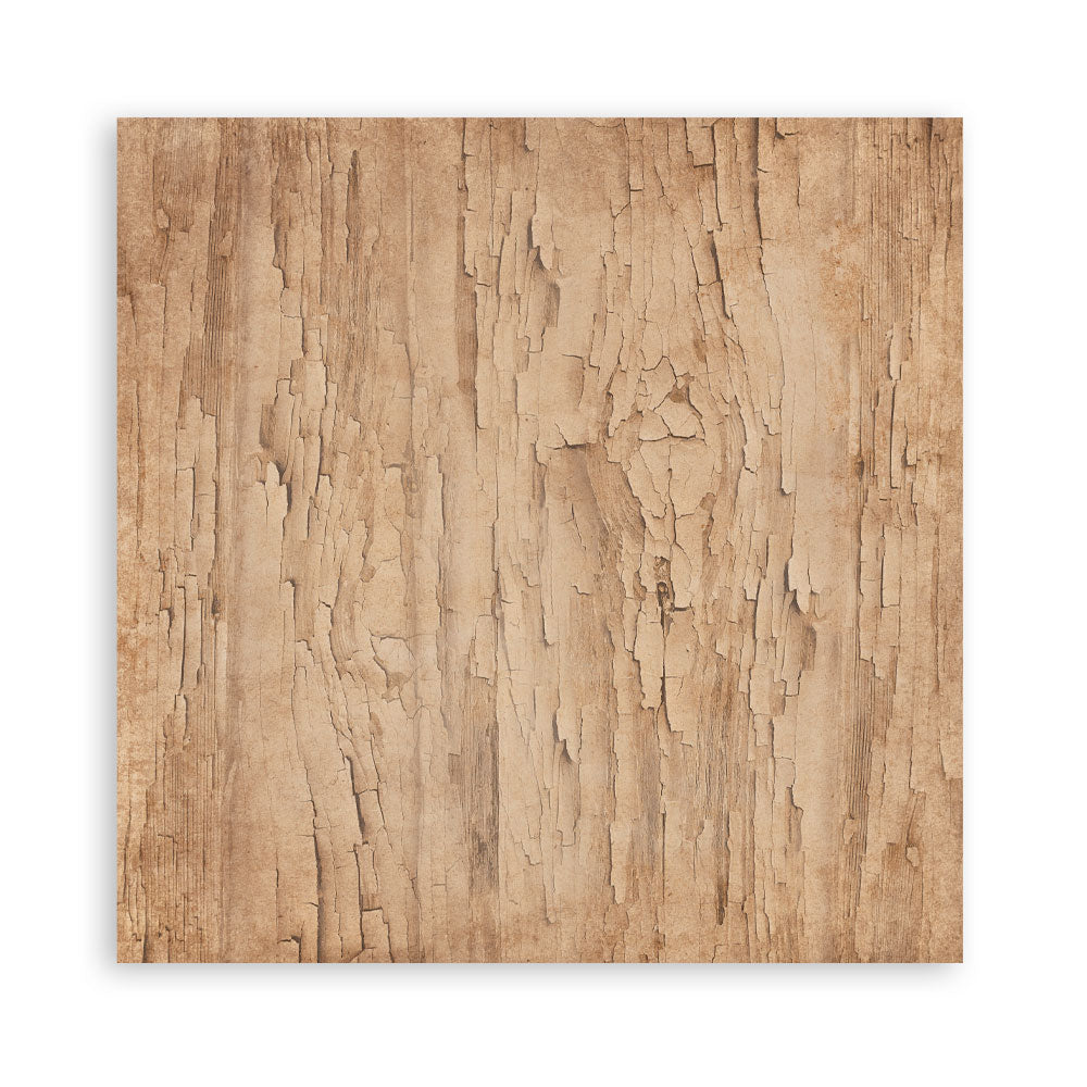 Stamperia Family 12×12 Inch Maxi Paper Pack – Single Face (SBBXLB33)