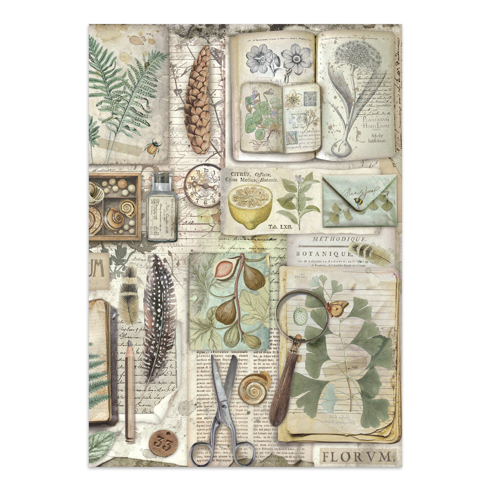 Stamperia Herbarium Silvae Junk Journal Stickers (SBJK09)