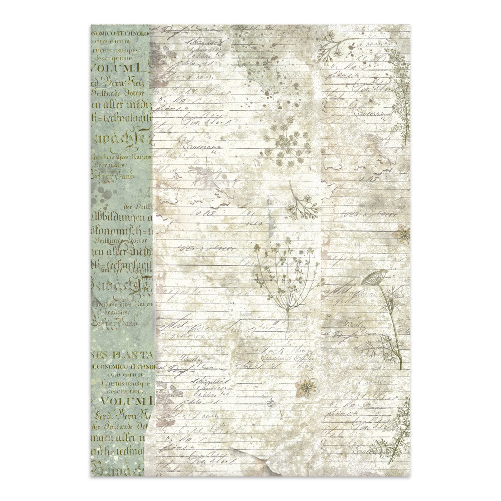 Stamperia Herbarium Silvae Junk Journal Stickers (SBJK09)