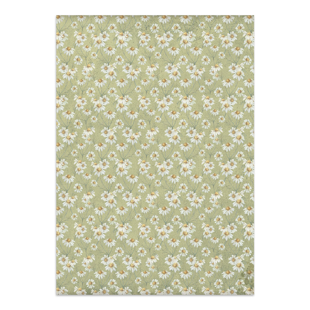Stamperia Daisy Art Junk Journal Stickers, Backgrounds, Cut-Outs (SBJK14)