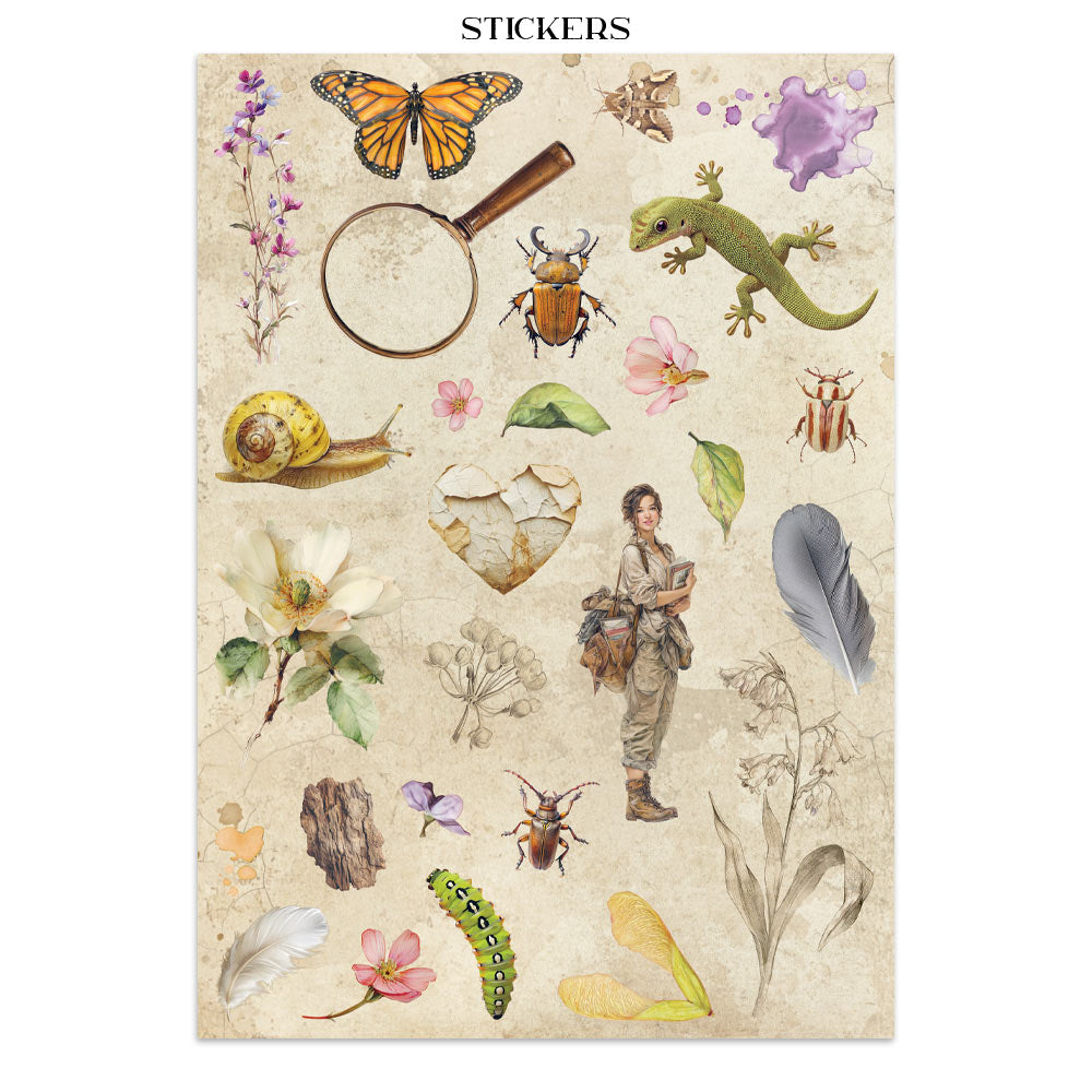 Stamperia All Around Junk Journal Stickers, Backgrounds, Cut-Outs (SBJK20)