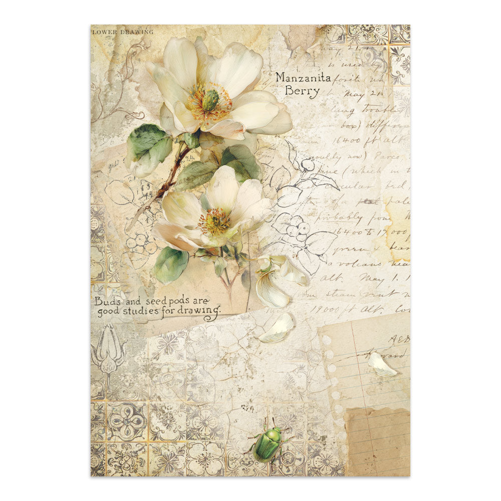 Stamperia All Around Junk Journal Stickers, Backgrounds, Cut-Outs (SBJK20)