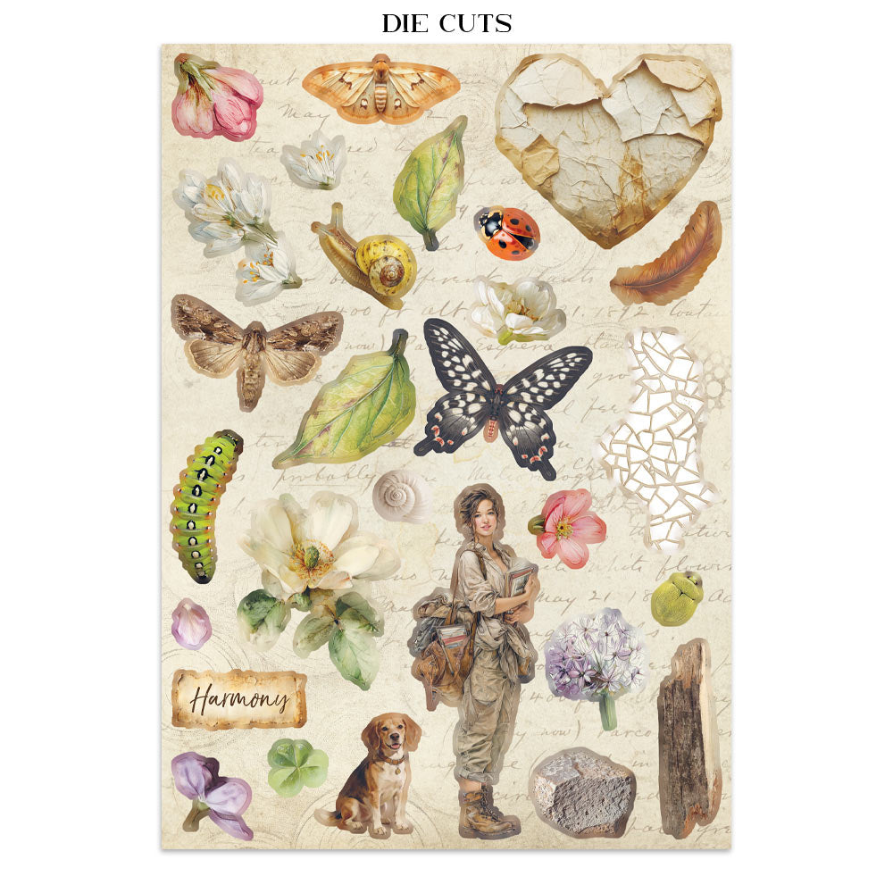 Stamperia All Around Junk Journal Stickers, Backgrounds, Cut-Outs (SBJK20)