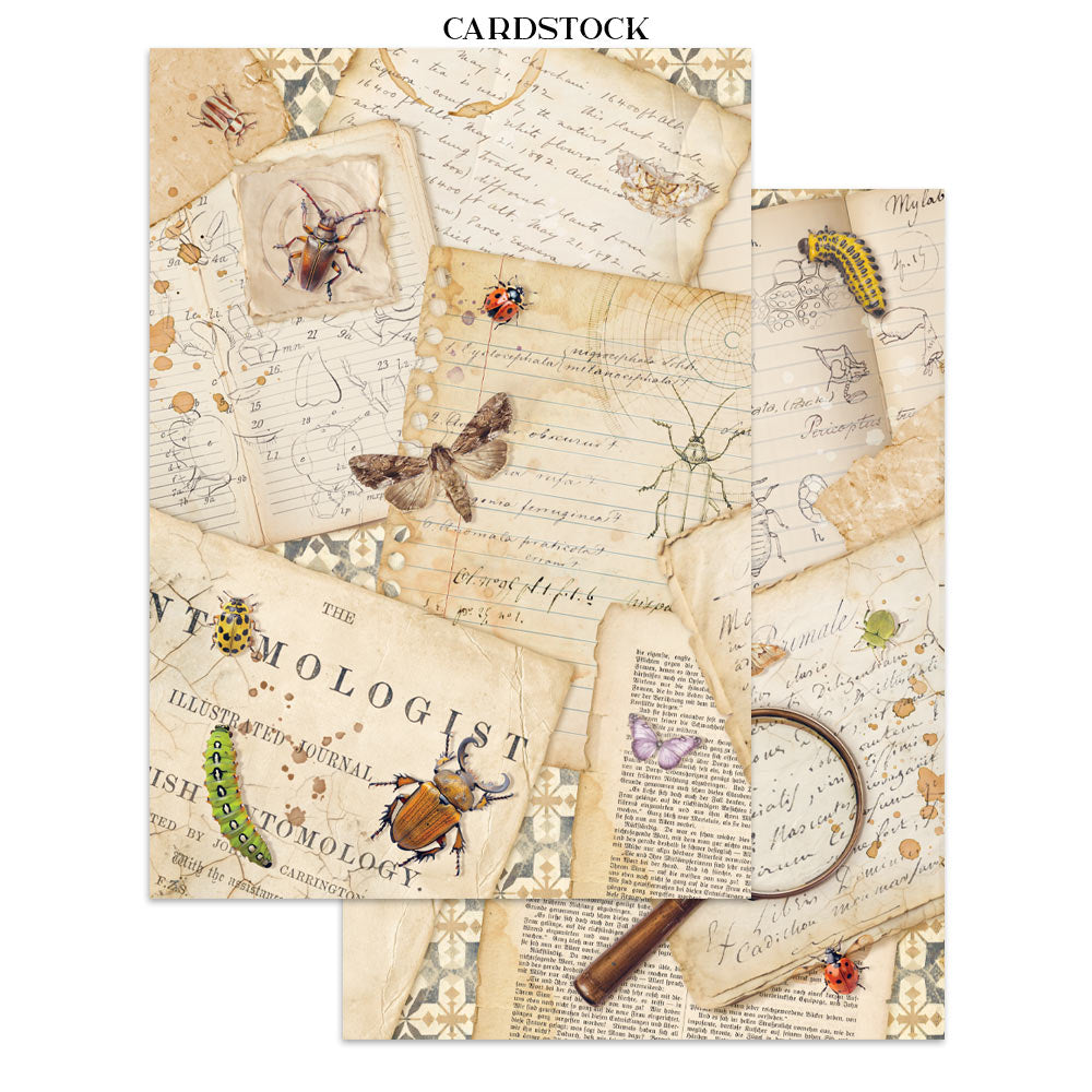 Stamperia All Around Junk Journal Stickers, Backgrounds, Cut-Outs (SBJK20)