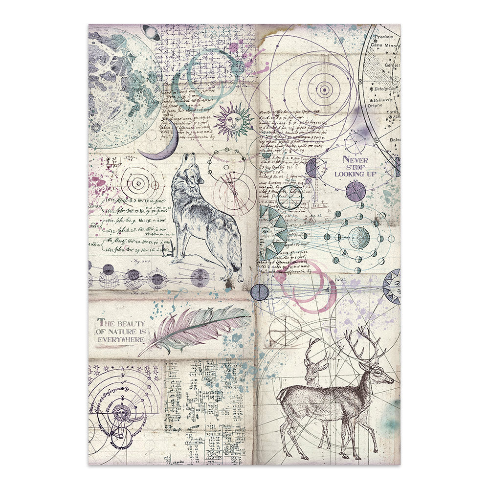 Stamperia Cosmos Junk Journal Stickers, Backgrounds, Cut-Outs by Cristina Radovan - SBJK29