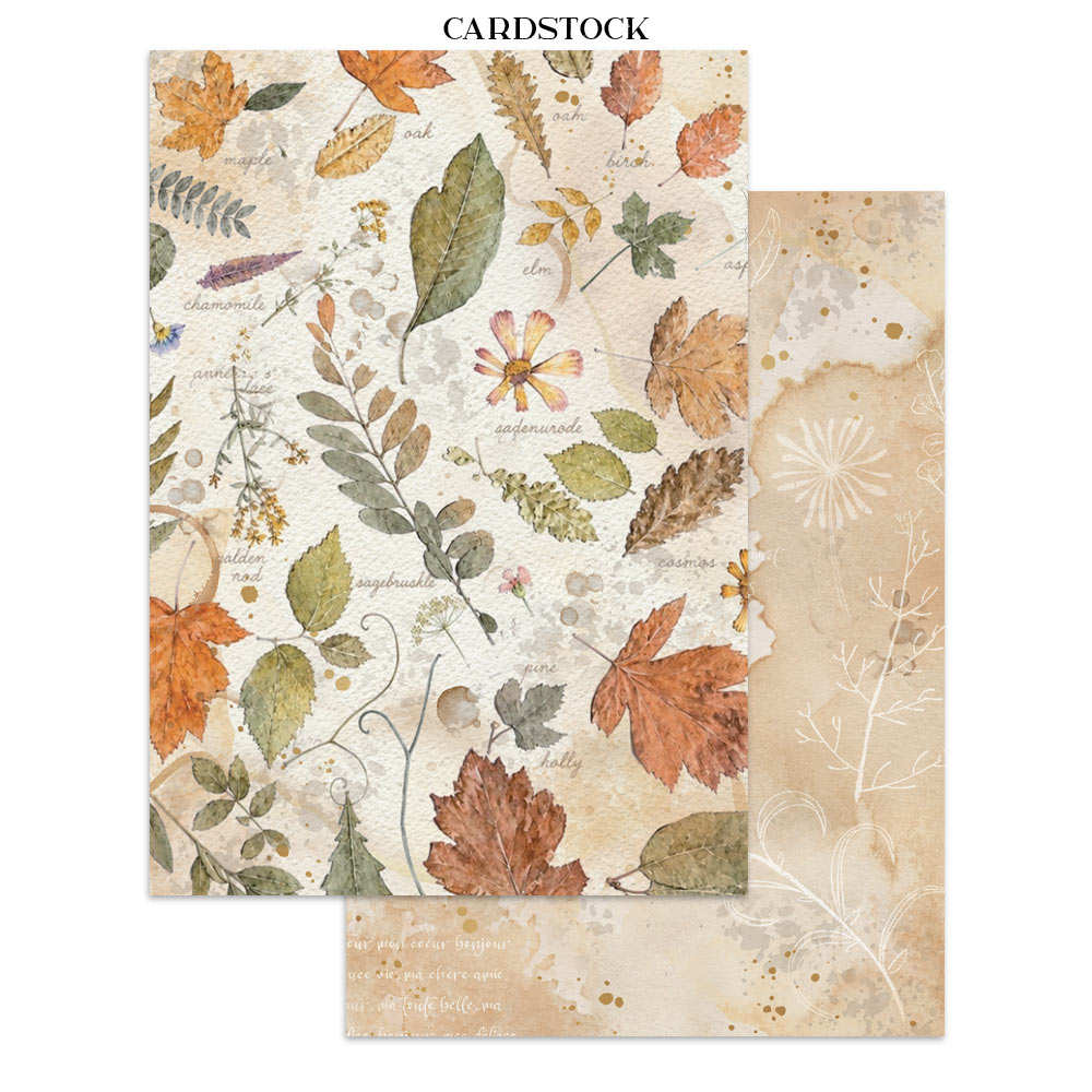 Stamperia Flowers and Poems Junk Journal Stickers, Backgrounds, Cut-Outs - SBJK31