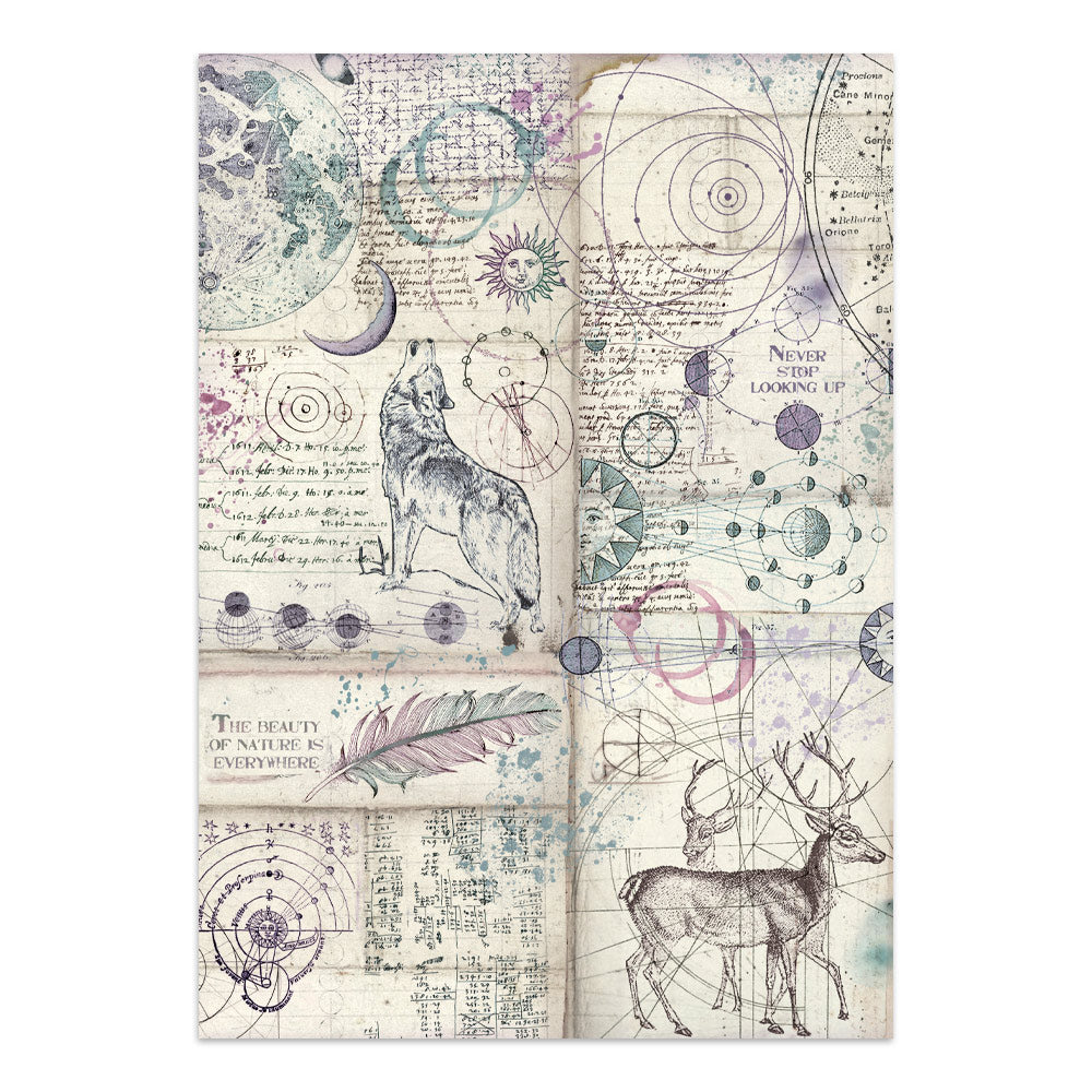 Stamperia Cosmos Junk Journal A5 Focus Points by Cristina Radovan - SBJKS08