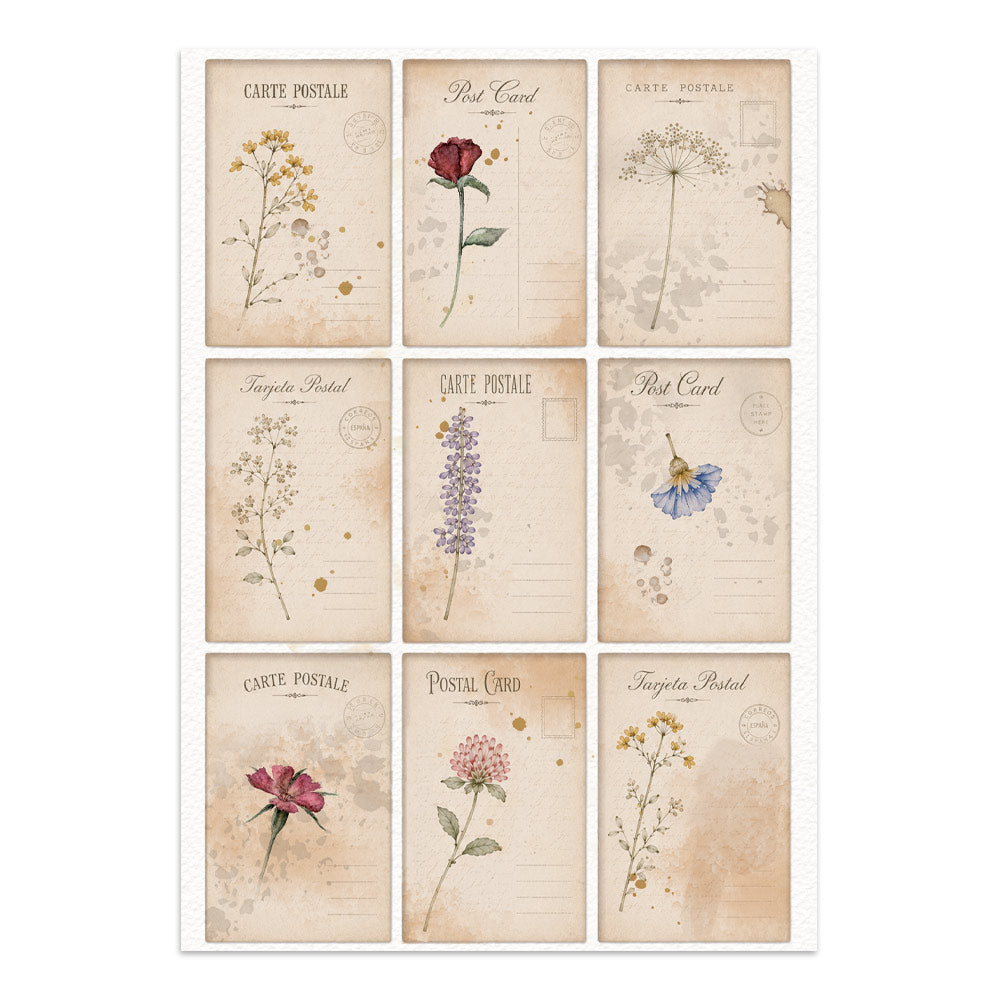 Stamperia Flowers and Poems Junk Journal A5 Focus Points - SBJKS10