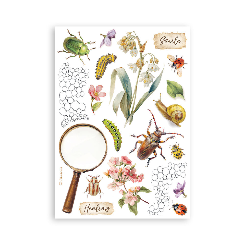 Stamperia All Around A5 Washi Pad (8pcs) (SBW33)