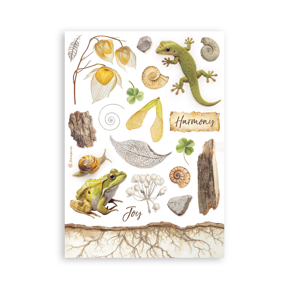 Stamperia All Around A5 Washi Pad (8pcs) (SBW33)