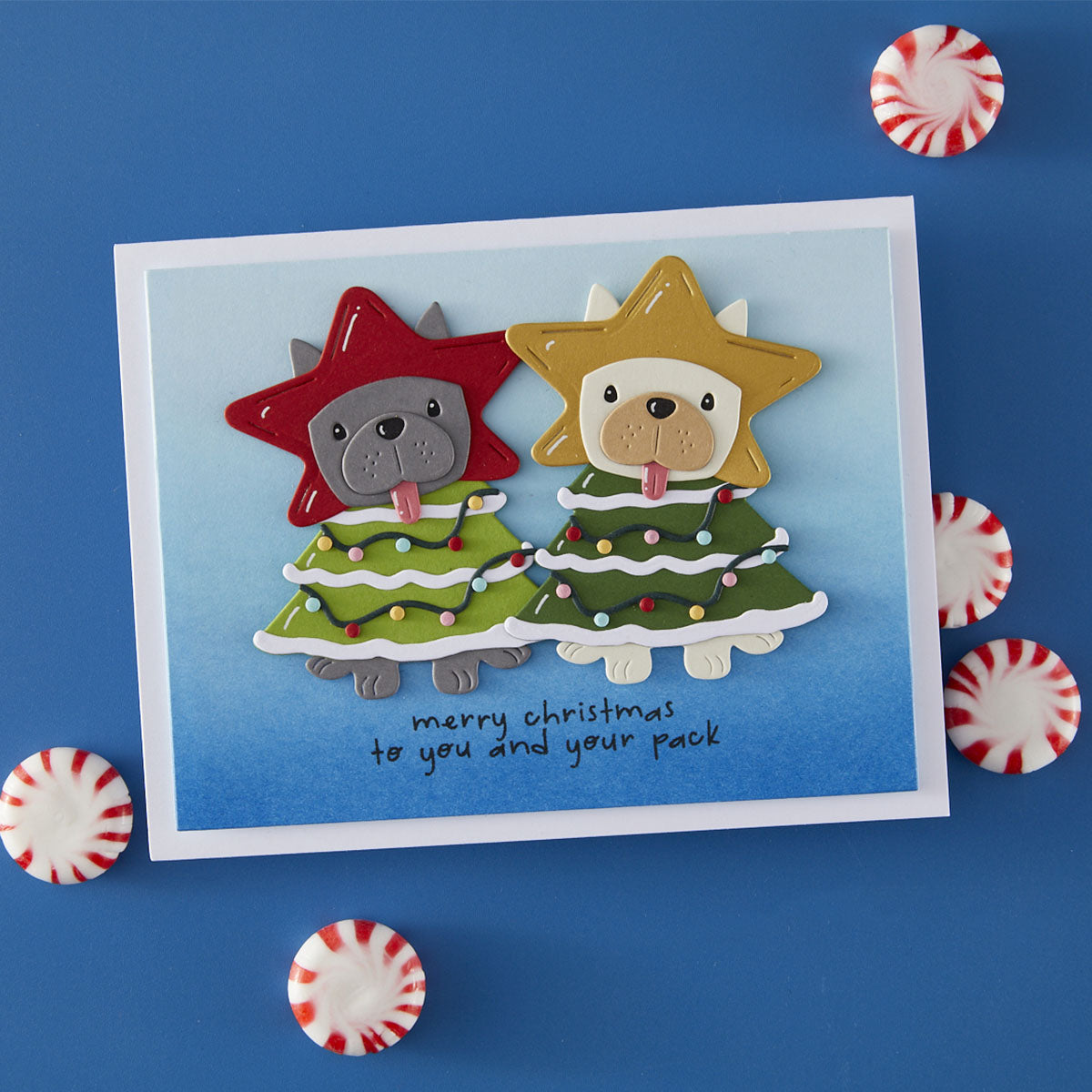 Spellbinders Deck the Paws Clear Stamp & Die Set from the Merry Mischief Collection