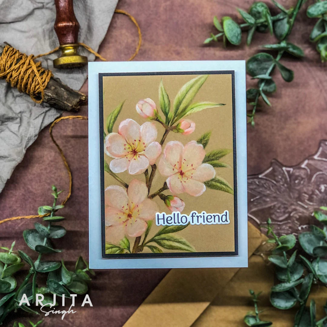 Gina K Design Bundle - Peach Blossoms (AS56) & Die Bundle
