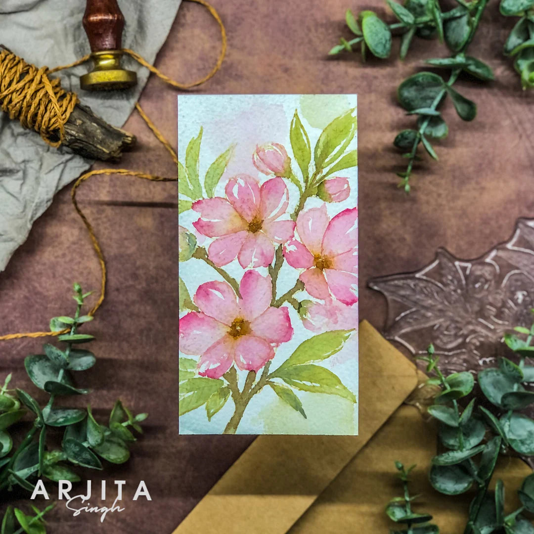 Gina K Design Bundle - Peach Blossoms (AS56) & Die Bundle