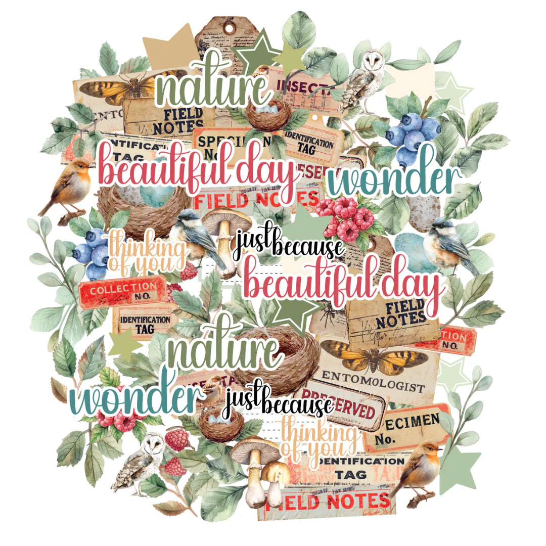 Uniquely Creative Botanical Chronicles Creative Cuts