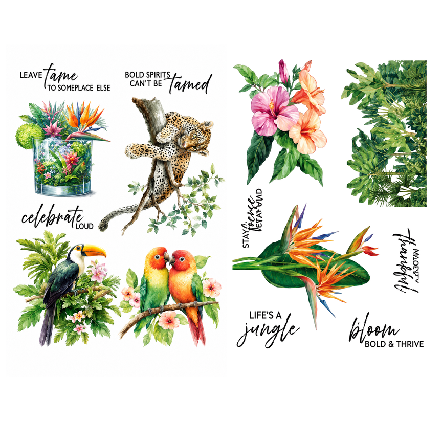 Spellbinders Life's a Jungle Rub-On Sheets