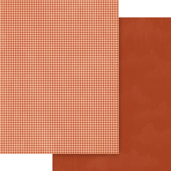 Graphic 45 Wonder of Oz 8.5 x 11 Patterns & Solids Pack