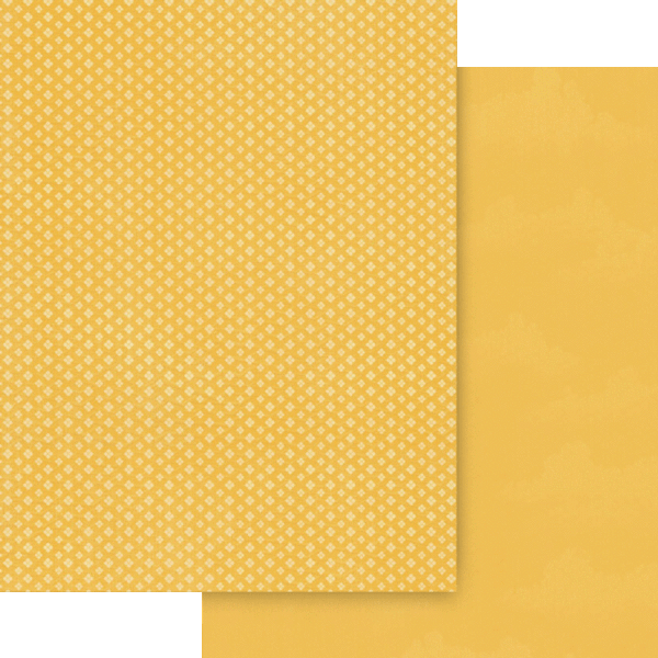 Graphic 45 Wonder of Oz 8.5 x 11 Patterns & Solids Pack