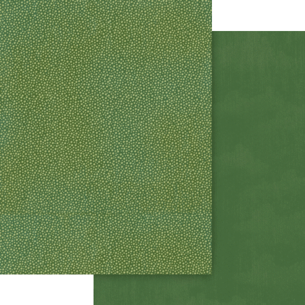 Graphic 45 Wonder of Oz 8.5 x 11 Patterns & Solids Pack