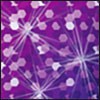 Frame Multi/Lines 10x23 cm HG/Purple