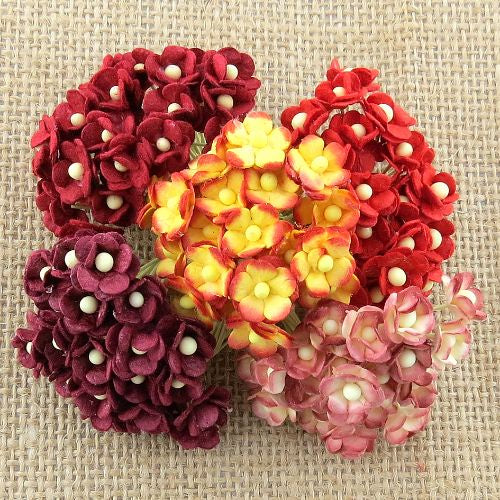 ATK 100 MINIATURE MIXED RED SWEETHEART BLOSSOM FLOWERS