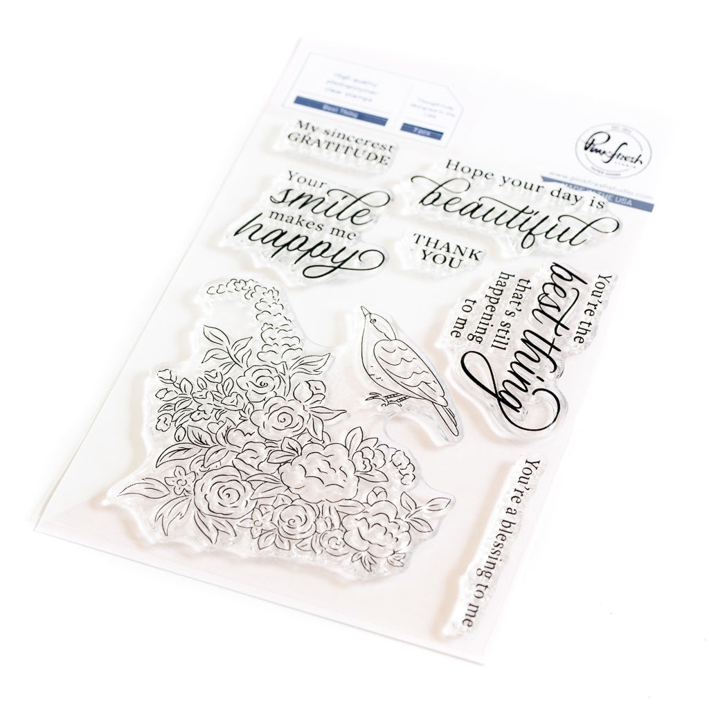 Pinkfresh Studio Best Thing Stamp/die/stencil Bundle