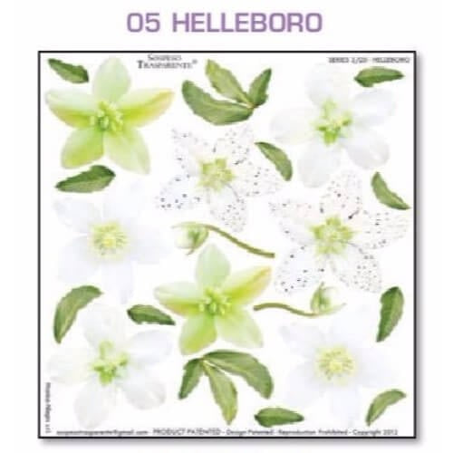 Series 3.05 Helleboro