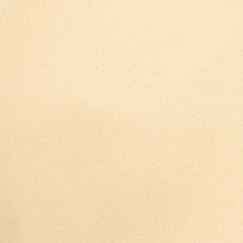 Core'dinations Vellum 8.5"X11" Gold Metallic 1 sheet