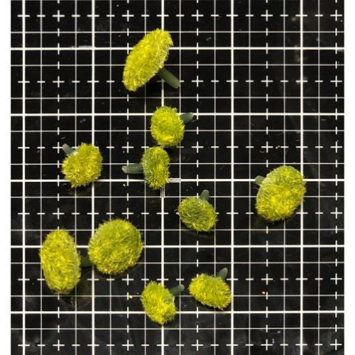 ATK Flower Center Green 10 pcs