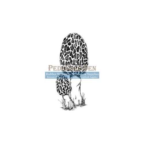 Peddlers Den Mushroom (Morel) M1-024A - No Mounting