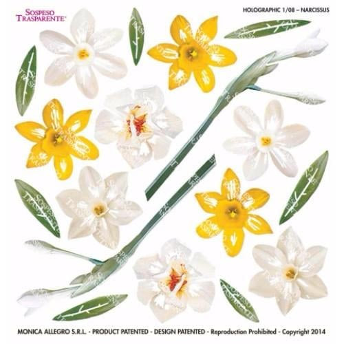 Holographic Series 1.08 Narcissus